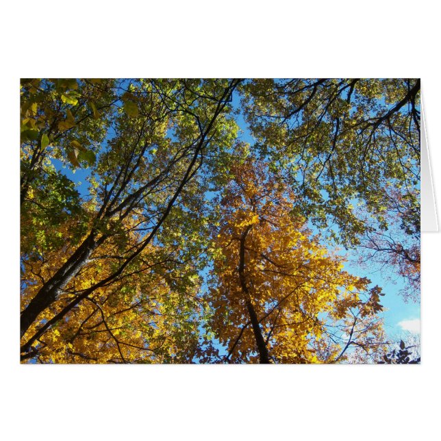 調べること (正面横)