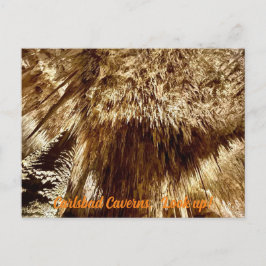 調べる ポストカード