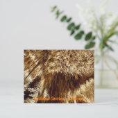 調べる ポストカード (スタンド正面)