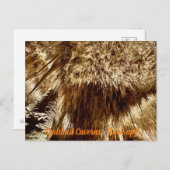 調べる ポストカード (正面/裏面)