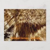 調べる ポストカード (正面)