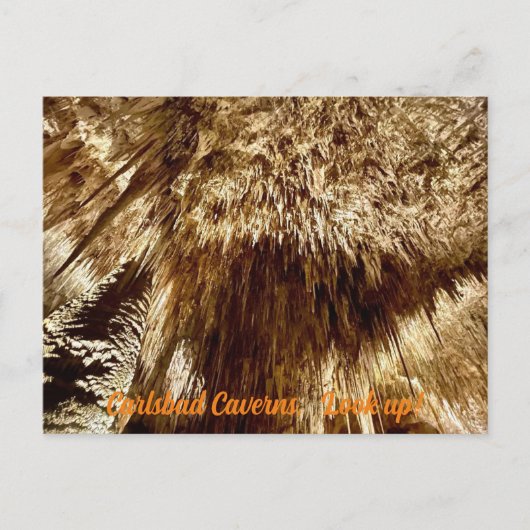 調べる ポストカード (正面)