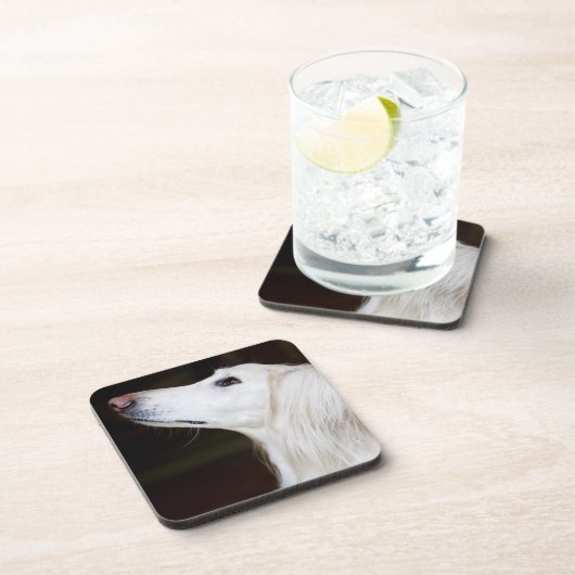 調べるSaluki コースター (右側)