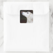 調べるSaluki スクエアシール (バッグ)