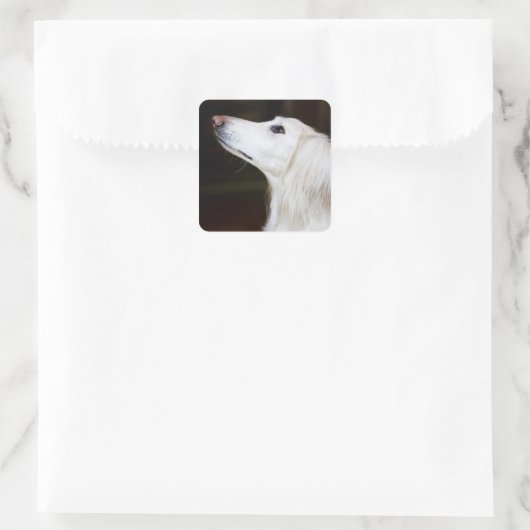 調べるSaluki スクエアシール (バッグ)