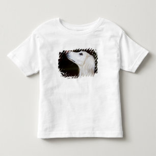 調べるSaluki トドラーTシャツ