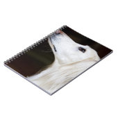 調べるSaluki ノートブック (左側)