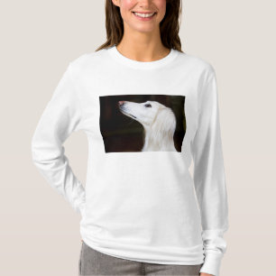 調べるSaluki Tシャツ