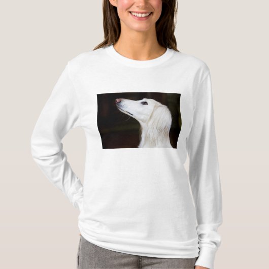調べるSaluki Tシャツ (正面)