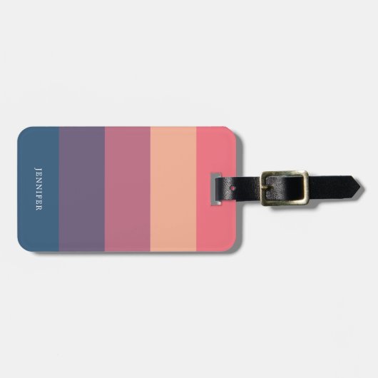 調和カラフルストライプ荷物 ラゲッジタグ (正面横)