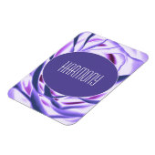 調和可撓性光磁石 マグネット (左側)