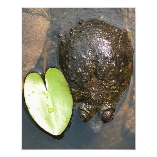 調和 フォトプリント            (正面)