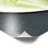 調和 フォトプリント            (角)