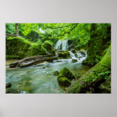 調和 ポスター (正面)