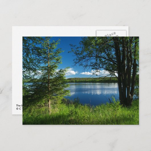 調和 ポストカード (正面/裏面)