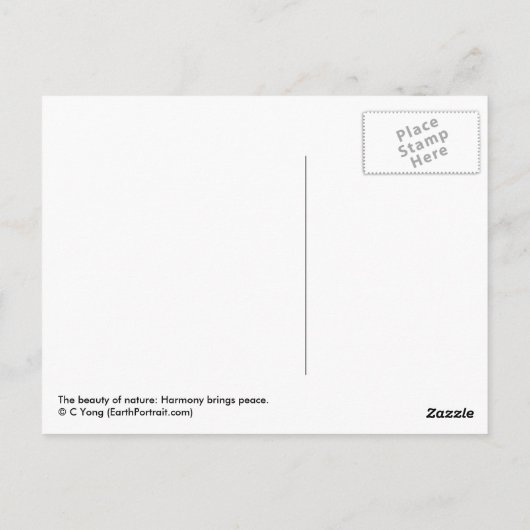 調和 ポストカード (裏面)