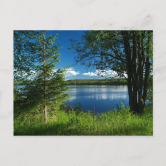 調和 ポストカード