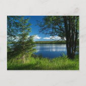 調和 ポストカード (正面)