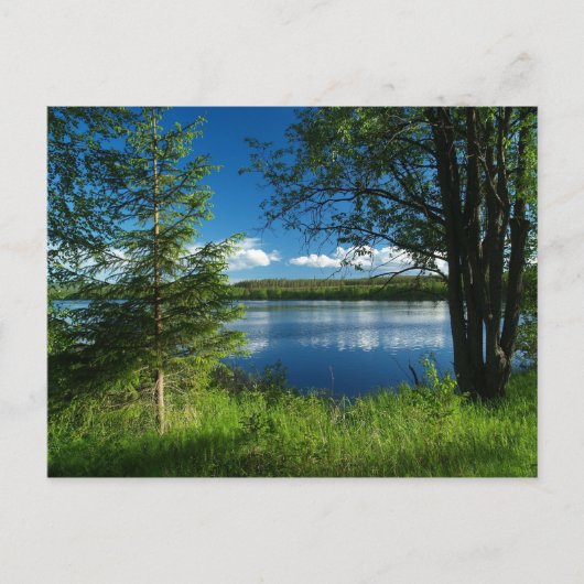 調和 ポストカード (正面)