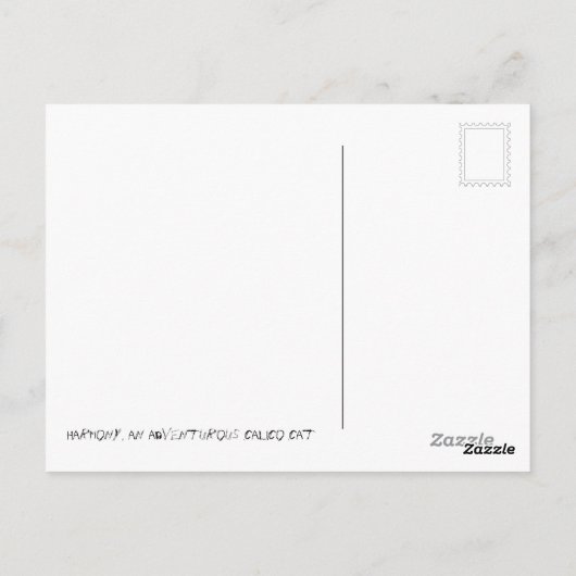 調和、三毛猫 ポストカード (裏面)