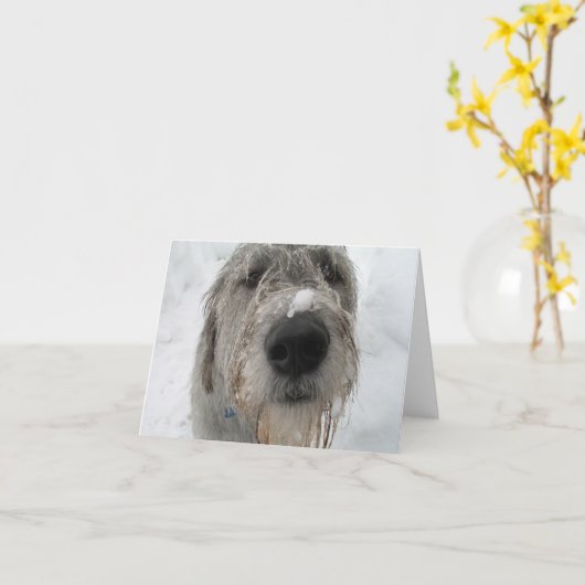 調子はどう? カード (黄色い花)