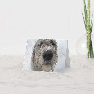 調子はどう？ カード