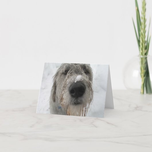 調子はどう? カード (正面)