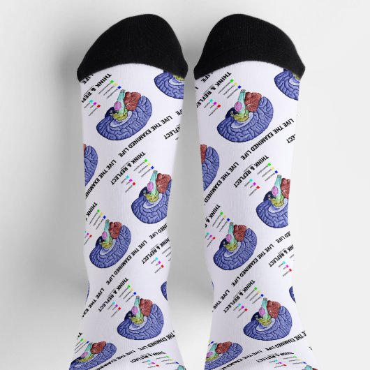 調査された人生を生考えき抜きアドバイス ソックス (上部)