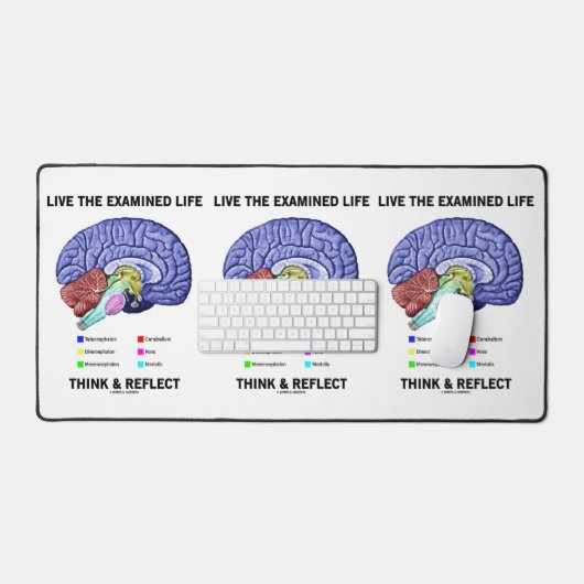 調査された人生を生考えき抜きアドバイス デスクマット (キーボード&マウス)