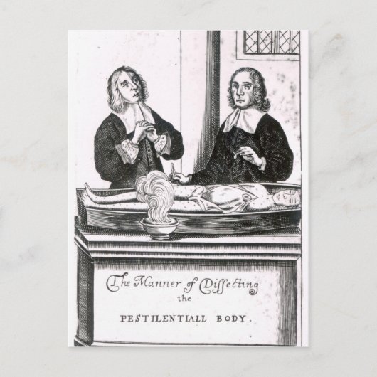 調査の体 ポストカード (正面)