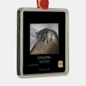 調査 メタルオーナメント (右)