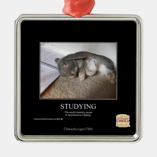 調査 メタルオーナメント (正面)