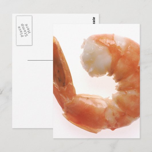 調理エビ ポストカード (正面/裏面)