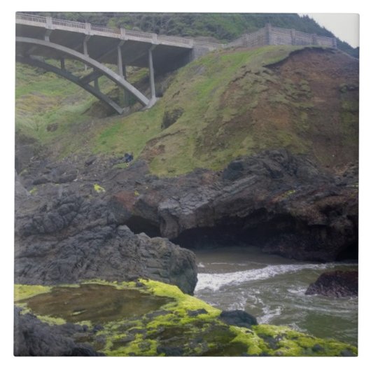 調理師のChasm、Cape Perpeta、OR タイル (正面)