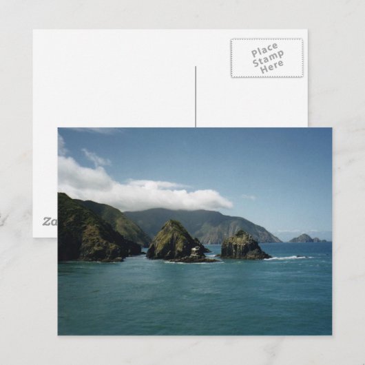 調理師海峡 ポストカード (正面/裏面)