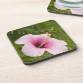 調理師諸島、アティウハイビスカス花。 コースター (左側)