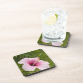 調理師諸島、アティウハイビスカス花。 コースター (右側)