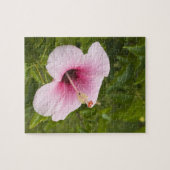 調理師諸島、アティウハイビスカス花。 ジグソーパズル (横)