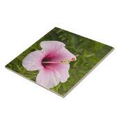 調理師諸島、アティウハイビスカス花。 タイル (側面)