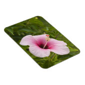 調理師諸島，アティウ。ハイビスカス花。 マグネット (右側)