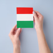 調節可能な赤、白、緑のフライヤー チラシ (手)