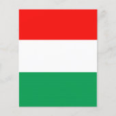 調節可能な赤、白、緑のフライヤー チラシ (正面)