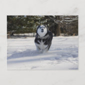 請求はがき ポストカード (正面)