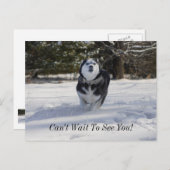 請求はがき ポストカード (正面/裏面)