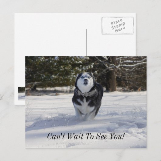 請求はがき ポストカード (正面/裏面)