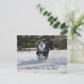 請求はがき ポストカード (スタンド正面)