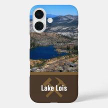 論文フィールドエリアの写真の作成