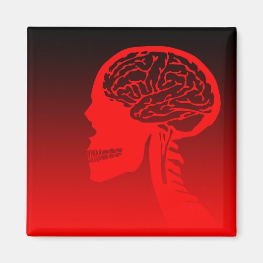 論理頭蓋骨 マグネット (正面)