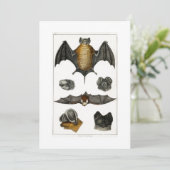 諸こうもり サンキューカード (スタンド正面)