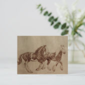 諸州の自由の郵便はがき ポストカード (スタンド正面)